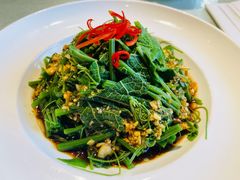 橄榄油拌丝瓜尖-朝郡酒家·粤菜(燕大星苑店)