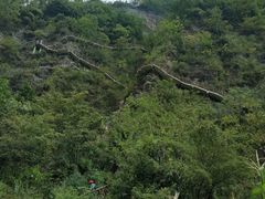 -鹿院坪生态旅游景区