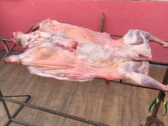 -迎燕阁烤羊腿(二环南路店)