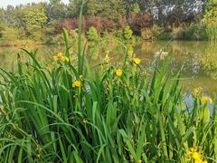 -白鹭湾湿地公园