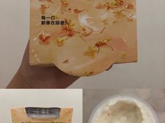 桂花马蹄三三三倍酸奶-乐纯(苹果社区店)