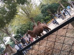 -长白岛森林公园