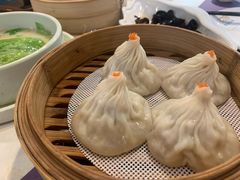 -点都德·毕德寮