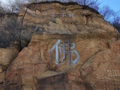 -北京西山国家森林公园