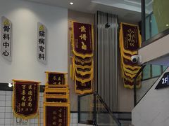 -半岛宠物医院24小时(科华中路店)
