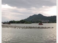 -茗醉园茶楼