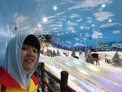 -世界之窗阿尔卑斯冰雪世界