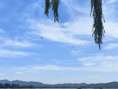 -杭州西湖柳莺里酒店