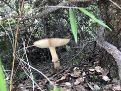 -迪庆藏族自治州博物馆