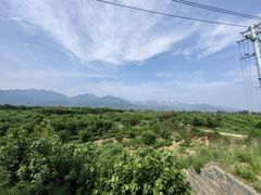 -沂蒙山旅游区云蒙景区(蒙山国家森林公园)
