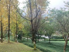 -龙头寺公园