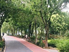 -大兴滨河森林公园