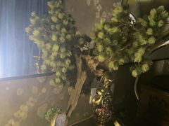 -霖公馆SPA·足道(普善路店)
