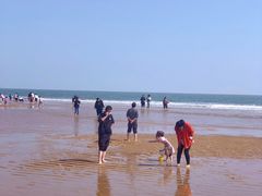 -前王院•巧克力海鲜市集餐厅(万平口店)