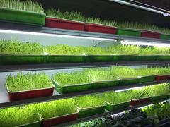 -番食园鲜食火锅(高新店)