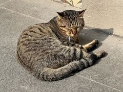 -观音桥步行街