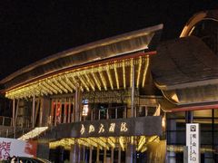 -合肥大剧院