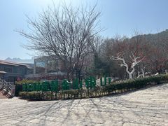 -崂山仰口游览区