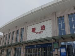 -塘沽站