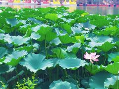 -西海子公园