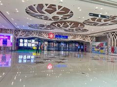 -哈尔滨热雪奇迹