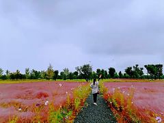 -汉长安城未央宫国家考古遗址公园