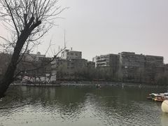 -莲湖公园