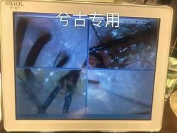 点击看大图 -张昊造型