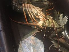 -拉威海鲜市场