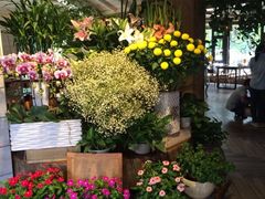 iphone_upload_pic-春暖花开(西溪店)