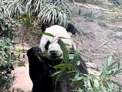 -石排湾郊野公园