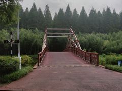 -黄海国家森林公园