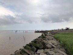 -南汇嘴观海公园