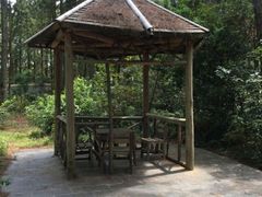 -象山森林公园