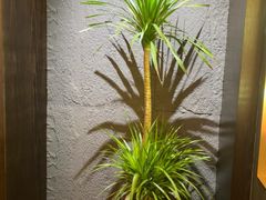 -曼格纳·曼芯馆(杨浦店)
