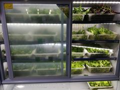 -黔府豆米火锅野菜馆(南马店)