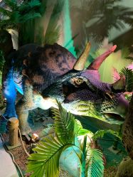 -恐龙探索乐园(磁器口店)