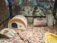 -南戴河国际娱乐中心