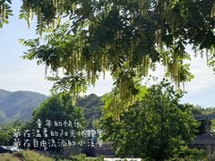 -溪口-滕头旅游景区