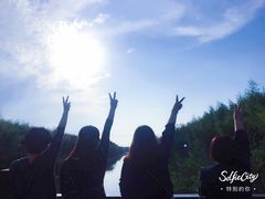 -黄海国家森林公园