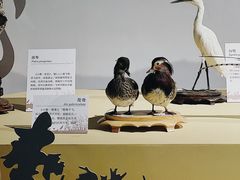 -中国湿地博物馆