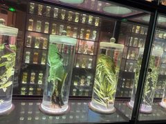 -广东中医药博物馆