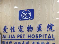 -爱佳宠物中心医院24H·CT·骨外科·猫专科(瑶海万达店)