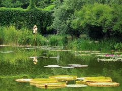 -国家植物园南园