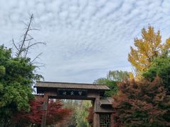 -习家池