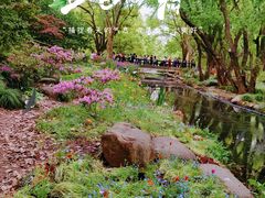 -上海共青森林公园