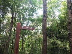 -青龙山国家森林公园