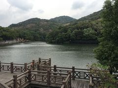 -白马涧龙池景区