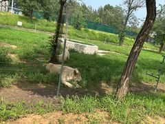 -秦皇岛野生动物园