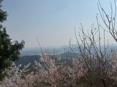 -红螺寺